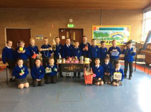 P6 Dragons' Den 